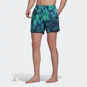 adidas Adidas short length melting salt reversible clx badeshorts Angebot