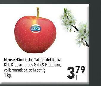 CITTI Markt Neuseeländische Tafeläpfel Kanzi Angebot