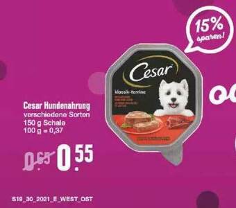 Edeka Cesar Hundenahrung Angebot