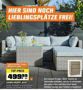 OBI Lounge-gruppe „olea” Angebot