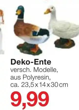 Jawoll Deko Ente Angebot