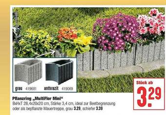 Hellweg Pflanzring „multiflor Mini” Angebot