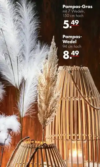 Handelshof Pampas-Gras Angebot