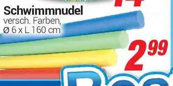 CENTERSHOP Schwimmnudel Angebot