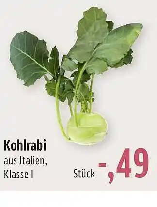 BUNGERT Kohlrabi Angebot