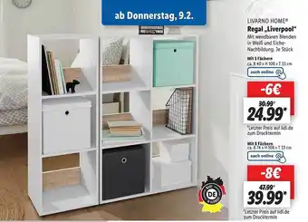 Lidl Livarno home regal „liverpool“ Angebot