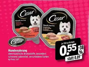 Wasgau Cesar hundenahrung Angebot