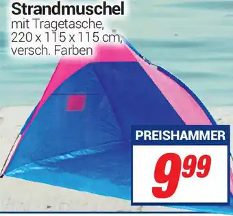 CENTERSHOP Strandmuschel Angebot