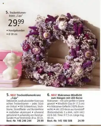 Weltbild Trockenblumenkranz „caja“ Angebot