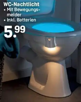 Rossmann WC Nachtlicht Angebot