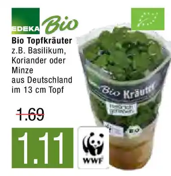 Marktkauf Edeka Bio Topfkräuter Angebot