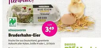 Biomarkt Naturland königshofer bruderhahn-eier Angebot