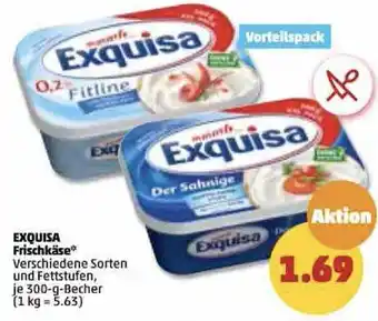 PENNY Exquisa Frischkäse 300 g Becher Angebot