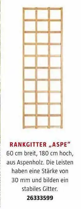 Bauhaus Rankgitter „aspe“ Angebot