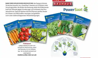 Bauhaus Powersaat Angebot