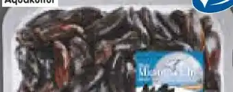 Netto Marken-Discount Frische miesmuscheln Angebot