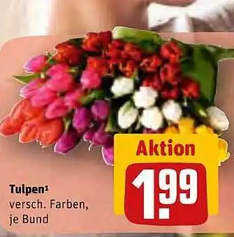 REWE Kaufpark Tulpen Angebot