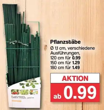 Famila Nord West Pflanzstäbe Angebot