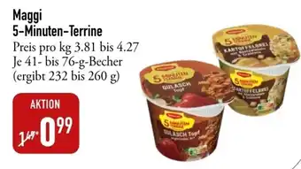 Galeria Markthalle Maggi 5-Minuten-Terrine 41-76g Angebot