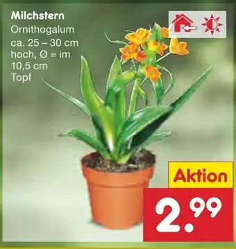 Netto Marken-Discount Milchstern Angebot