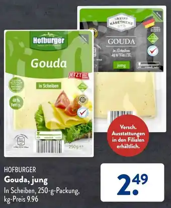 Aldi Süd Hofburger Gouda,jung 250 g Packung Angebot