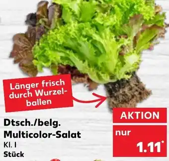 Kaufland Multicolor Salat Angebot