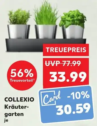 Kaufland Silit Collexio Kräutergarten Angebot