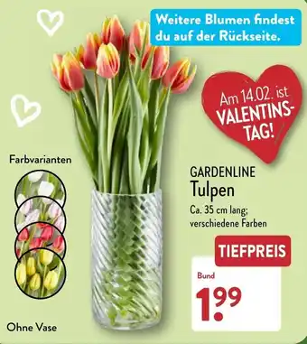 Aldi Nord Gardenline Tulpen Angebot