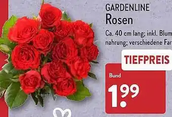 Aldi Nord Gardenline rosen Angebot