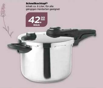 NETTO Schnellkochtopf Angebot