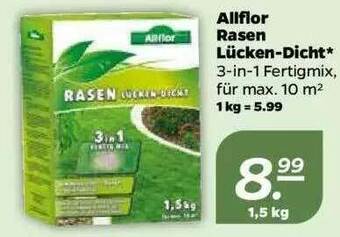 NETTO Allflor Rasen Lücken-dicht Angebot