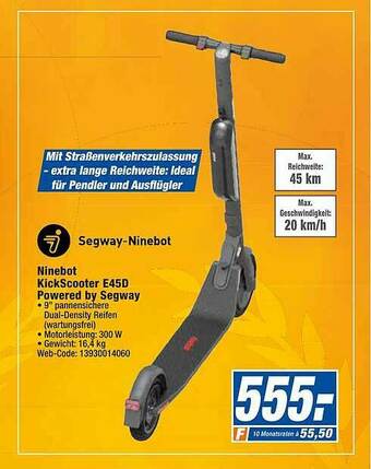 expert Octomedia Segway-ninebot Kickscooter E45d Powered By Segway Angebot