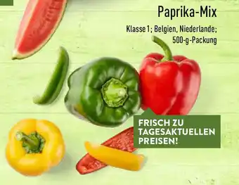 Aldi Nord Paprika Mix 500g Angebot