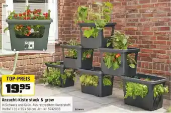 OBI Anzucht Kiste stack & grow Angebot