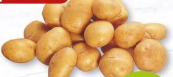 Nah & Frisch Speisekartoffeln drillinge regina Angebot
