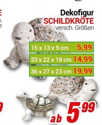 CENTERSHOP Dekofigur Schildkrote Angebot