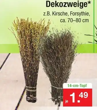 Zimmermann Dekozweige Angebot