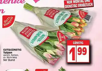 Edeka Gut & günstig tulpen Angebot