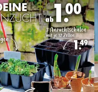 Mäc Geiz Anzuchtschalen mit 12 Zellen 3st Angebot