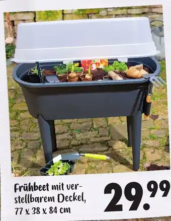 Mäc Geiz Fruhbeet 77*38*84 Angebot