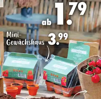 Mäc Geiz Mini-Gewachshaus Angebot