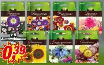 Posten Börse Sonnenblumen Angebot