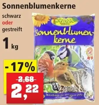 Thomas Philipps Bird's Garden Sonnenblumenkerne 1 kg Angebot