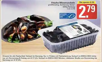 WEZ Frische miesmuscheln Angebot