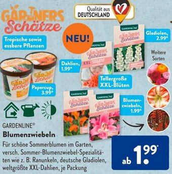 Aldi Süd Gardenline Blumenzwiebeln Angebot