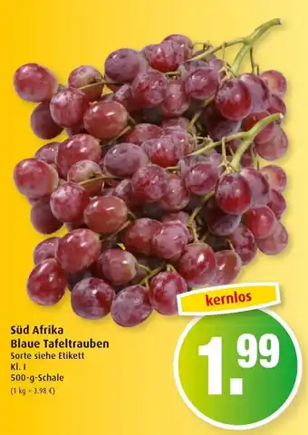 Markant Süd Afrika Blaue Tafeltrauben 500g Angebot
