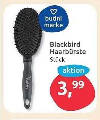 Budni Blackbird haarbürste Angebot