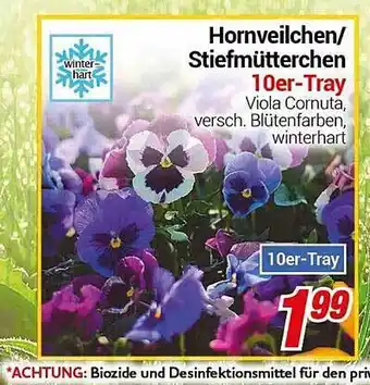 CENTERSHOP Hornveilchen oder stiefmütterchen 10er-tray Angebot