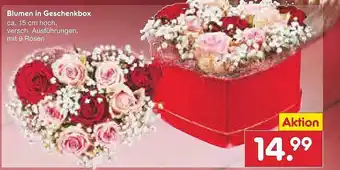 Netto Marken-Discount Blumen in geschenkbox Angebot