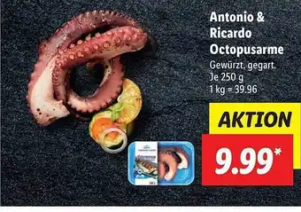 Lidl Antonio & ricardo octopusarme Angebot